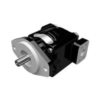 Cast Iron Motors - PGM330 Series